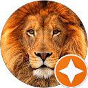 Gianni Aiello profile picture